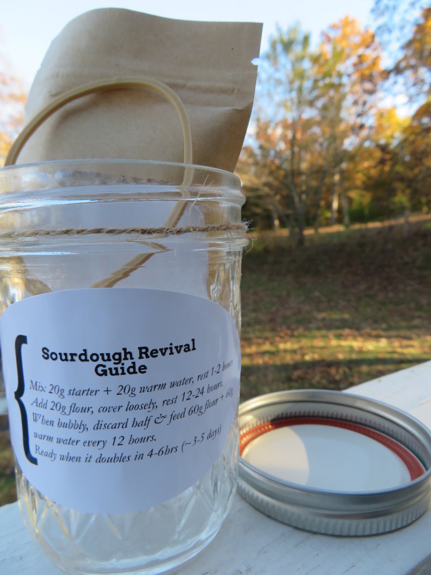 Sourdough Starter Revival Kit