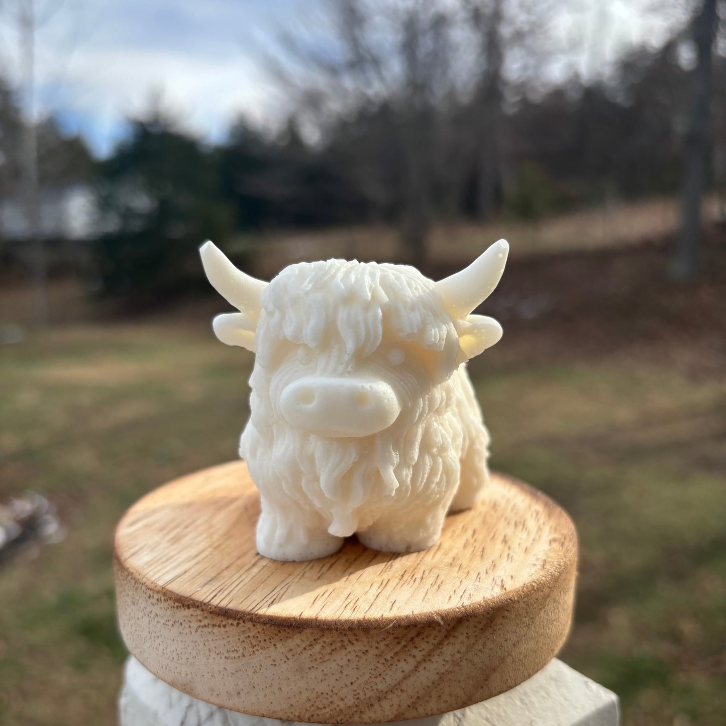 Highland Suds Bar (1 bar)